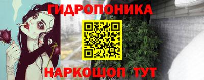скорость Будённовск