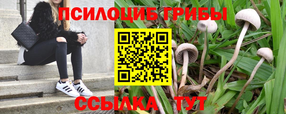 Псилоцибиновые грибы ЛСД  Вход с VPN  Пенза 