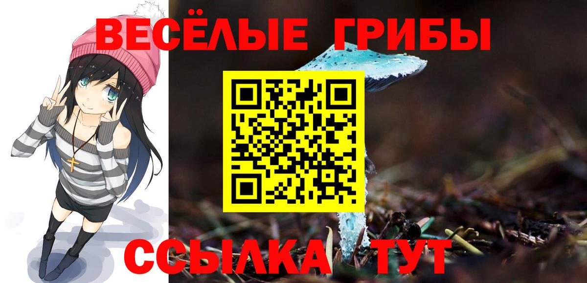 Галлюциногенные грибы MAGIC MUSHROOMS Пенза